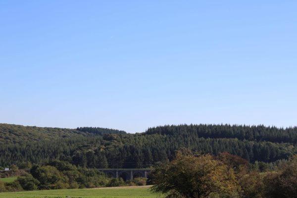 Au Chant Du Coq Wancennes Esterno foto